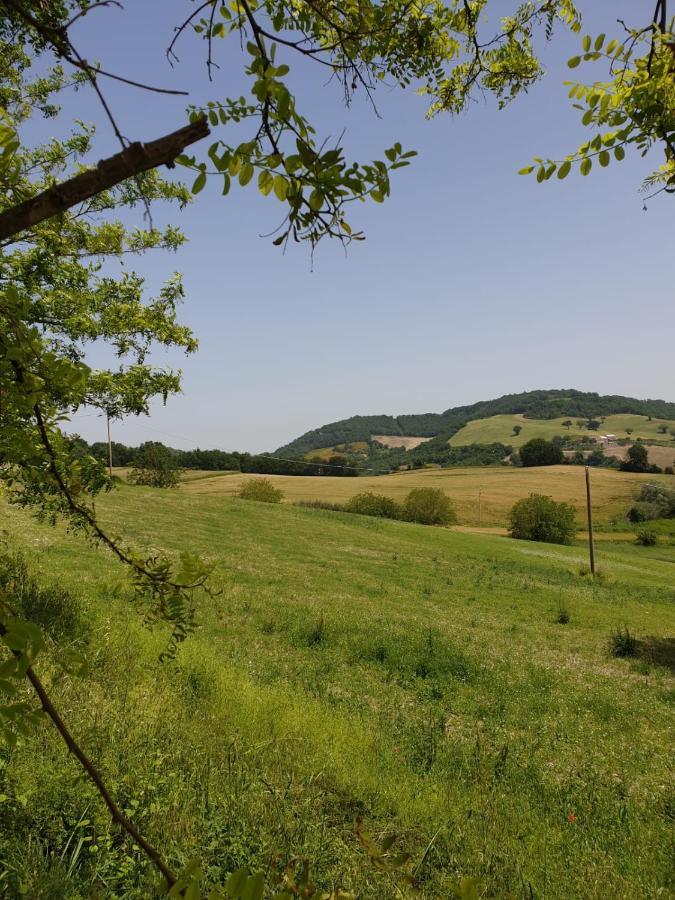 B & B La Primavera Pergola Eksteriør billede